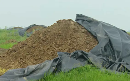 Xử lý hiệu quả chất thải chăn nuôi ở Minh Châu | Chuyển đổi xanh | 27/05/2025