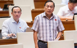 'Vụ Trương Mỹ Lan có thể xây được nửa đường sắt Bắc-Nam'