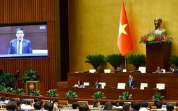 Đề xuất bỏ quy hoạch vùng