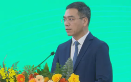 Nhiều chuyên khoa mũi nhọn được chuyển giao cho tuyến dưới