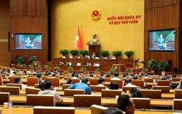 Đề nghị công khai tiếp thu, giải trình ý kiến đại biểu