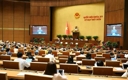 Khuyến khích đại biểu không đọc giấy ở nghị trường
