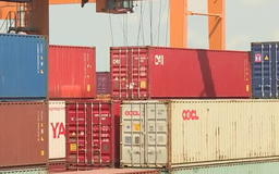Ưu tiên thông quan ngay nông, lâm, thủy sản xuất khẩu