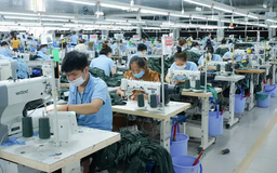 Vinatex không chia cổ tức năm 2024