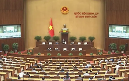 Kỳ họp Quốc hội thứ 9 đợt 1 thông qua 8 Nghị quyết