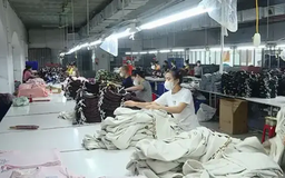 Quản lý bao bì, sản phẩm sau tiêu dùng