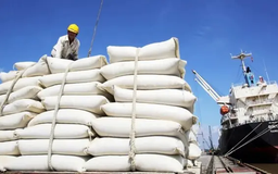 VCCI đề nghị bỏ quy định gây khó DN xuất khẩu gạo