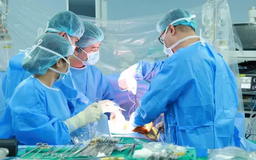 500 ca ghép thận thành công trong gần một thập niên