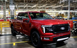 Ford gọi sửa chữa 1 triệu xe tại Mỹ do lỗi camera