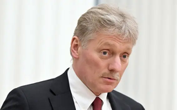 Nga nêu điều kiện cho Hội nghị Thượng đỉnh Putin-Zelensky-Trump