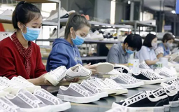 Dệt may, da giày cần khai thác hiệu quả thị trường FTA