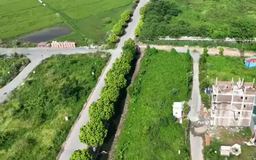 Một số huyện sớm hoàn thành chỉ tiêu đấu giá đất