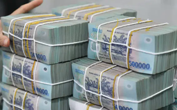 Nhiều doanh nghiệp chốt quyền trả cổ tức từ 2/6 đến 6/6