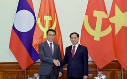 Hội đàm giữa Bộ Ngoại giao Việt Nam và Ban Đối ngoại Trung ương Lào