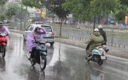 Thời tiết 3/6: Hà Nội mưa rào và dông, nhiệt độ giảm