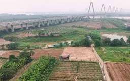 Hà Nội siết quản lý đất công, đất nông nghiệp, bãi sông