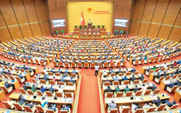Không giới thiệu ứng cử người đứng đầu để xảy ra tham nhũng