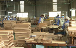 Dịch chuyển xuất khẩu để ứng phó thuế đối ứng của Mỹ