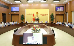 Ngăn ngừa hành vi người nổi tiếng quảng cáo sai sự thật