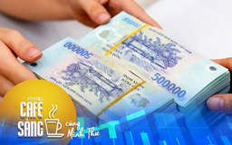 Điều hộ kinh doanh lo sợ