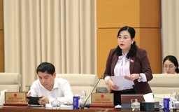 Thông qua Quy chế làm việc mới của các UBQH
