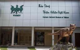Nơi thiên nhiên kể chuyện | Hà Nội đến để yêu | 06/06/2025