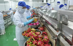 Việt - Mỹ ký kết thỏa thuận nông sản 1,4 tỷ USD