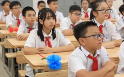 Huy động nghệ sĩ, VĐV tham gia dạy học ở phổ thông