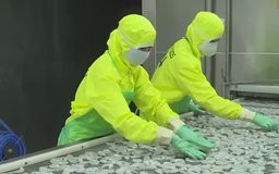 Doanh nghiệp tôm Việt bất ngờ mức thuế CBPG 35% từ Mỹ