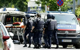 Xả súng tại trường học ở Áo, 10 người thiệt mạng