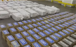 Costa Rica bắt hơn 3,4 tấn cocaine ngụy trang trong container