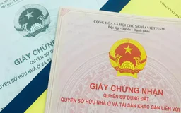 Bắt giữ đối tượng dùng sổ đỏ giả lừa 8 tỷ đồng