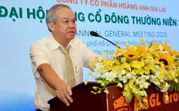 Bầu Đức dự kiến mua 10 triệu cổ phiếu HAG