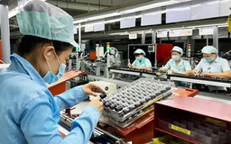 Nhiều đơn vị kinh doanh không còn ngại thành lập doanh nghiệp