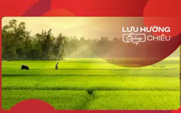 Hạ về trong đợt gió Tây Nam