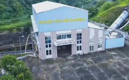Loạt doanh nghiệp niêm yết liên tiếp dính vi phạm thuế