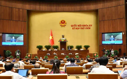 Đảm bảo cạnh tranh lành mạnh tại khu thương mại tự do