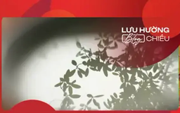Màu của nỗi buồn