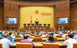 'Không để cơ chế của Hải Phòng vượt trội hơn Đà Nẵng'