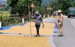 Hiểm họa từ việc phơi rơm rạ trên đường