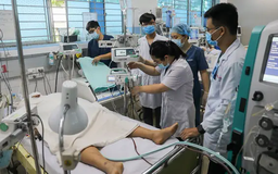 23.000 ca sốt xuất huyết, Bộ Y tế cảnh báo dịch