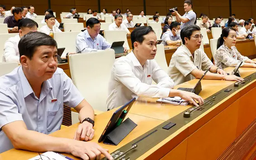 100% đại biểu thông qua Nghị quyết sửa đổi Hiến pháp 2013