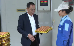 Góp sức xây dựng quê hương | Người tốt quanh ta | 17/06/2025