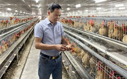 Ông Hoàng Mạnh Ngọc, một nông dân tiêu biểu của Thủ đô | Con đường doanh nhân | 15/06/2025