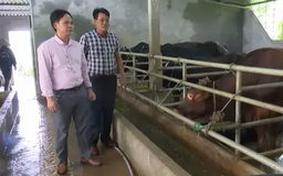 Chuyển đổi xanh trong chăn nuôi | Chuyển đổi xanh | 10/06/2025