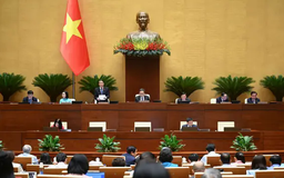 Quốc hội tiếp tục thảo luận về phát triển kinh tế xã hội