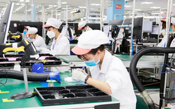 Nhiều quy định mới thúc đẩy khu vực tư nhân phát triển