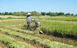 Điều chỉnh đối tượng được miễn thuế đất nông nghiệp