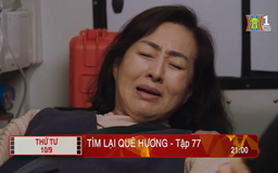 'Tìm lại quê hương' - Tập 77: Trái ngọt