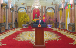 Thư chúc Tết Xuân Bính Ngọ 2026 của Chủ tịch nước Lương Cường